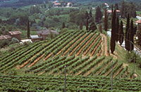 Aggiornato il catasto e in Toscana spuntano