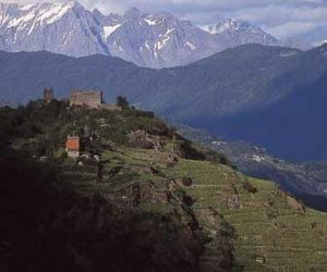 I vigneti 'eroici' della Valtellina