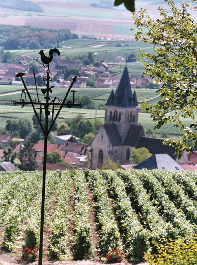 Francia, stregati dal vino della Champagne-Ardenne
