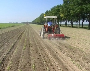 Agricoltura veneta, importanti novità dal bilancio preventivo 2011
