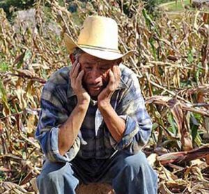 agricoltore.jpg