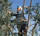 Pensioni con 15 anni di contributi al 1992, sono salve