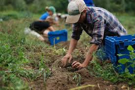 Welfare day. Per Confeuro necessario istituire un fondo di previdenza complementare per gli agricoltori