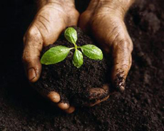Ad Expo 2015, la fattoria globale diventa 2.0. Il 14 maggio l’inaugurazione