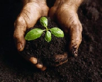 Expo, dalla ricerca nuovi strumenti per nuove politiche agroalimentari