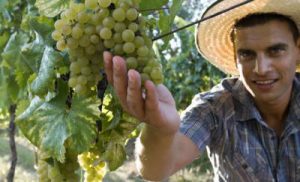 agricoltura-giovane-2.jpg