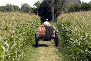 agricoltura-trattore.jpg