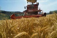 Censimento Istat, le competenze dei Dottori Agronomi e Forestali non sono in discussione