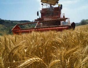 Al via il nuovo PSR. Toscana fra le prime 4 regioni con “ok” da Europa