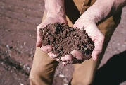 Agricoltura tradizione e innovazione, se ne parla a Castelfiorentino