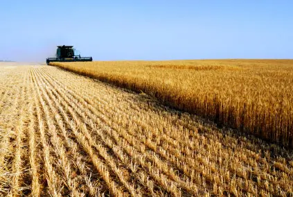 Le opportunità dalla PAC per aziende agricole e professionisti. A Torino focus su agricoltura sociale e civica