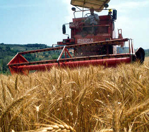 Pac: le risorse ai veri agricoltori. “No” alle rendite fondiarie e parassitarie