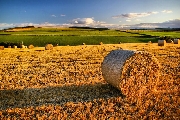 Per Confeuro serve una svolta per l’agricoltura