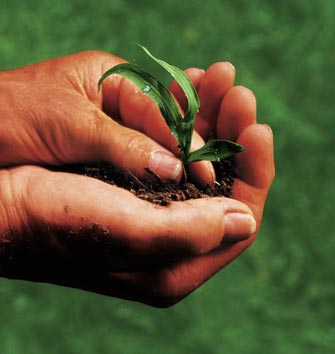 Il Sud Italia punta su agricoltura biologica e turismo sostenibile