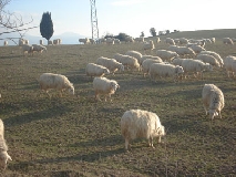 In Val d’Orcia la filiera corta va all’ingrosso