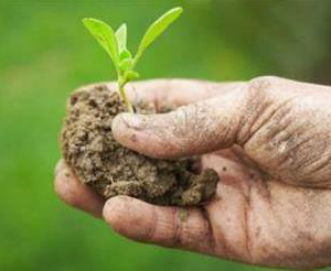 Agricoltura sociale. Confagricoltura premia le tre aziende più virtuose aderenti al concorso “Coltiviamo l’agricoltura sociale”