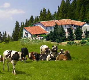 Coronavirus. In Veneto gli agriturismi possono fare consegne a domicilio. Accolte richieste Cia