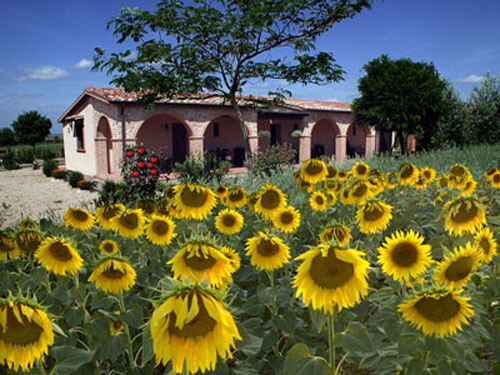 Giornata mondiale turismo. Confagricoltura: le migliori performance sono dell’agriturismo