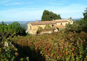 agriturismo_1.jpg