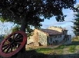 Turismo e agricoltura. Agriturist: a Ferragosto la campagna tra le mete preferite da italiani e stranieri