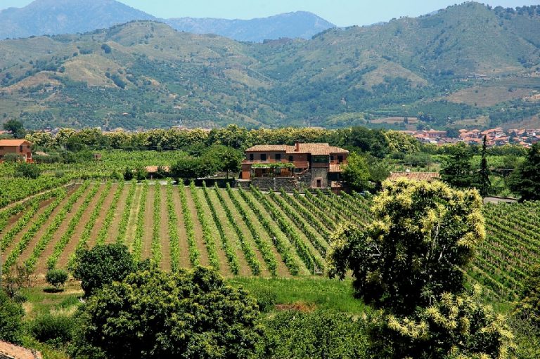 Agriturismo italiano in crescita. Fatturato a 1,36 mld euro e oltre 23mila imprese (+3,3% sul 2016)