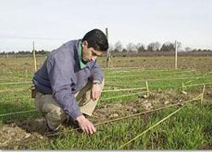 Agronomi, professionisti virtuosi secondo le Agenzie delle Entrate