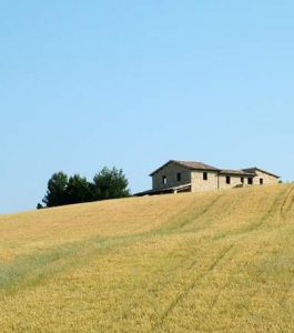 azienda-agricola_1.jpg