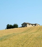 IMU, l’agricoltura ha pagato più del dovuto. Governo restituisca soldi