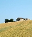 Decreto Fare, conversione con novità anche per l’agricoltura