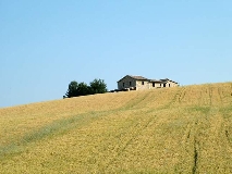 Imu, dal Senato una risposta agli agricoltori ma servono ulteriori correzioni