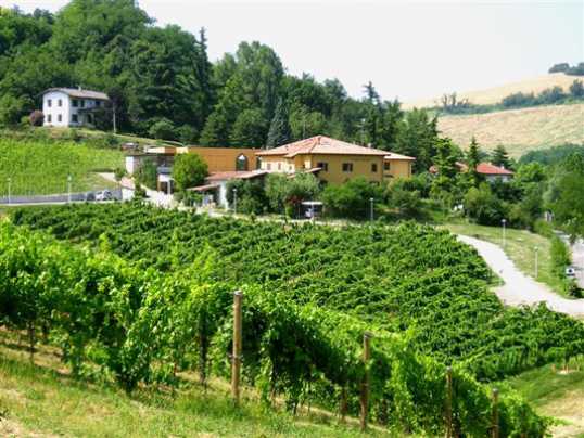 Aziende agricole italiane in diminuzione,  49mila in meno dal 2005