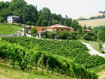 Istat, al via la rilevazione campionaria delle aziende agricole