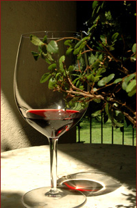 Bardolino, un vino da far conoscere