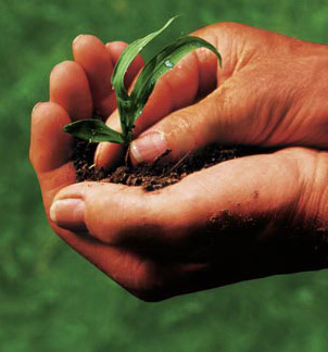Due milioni di euro per i giovani lucani in agricoltura