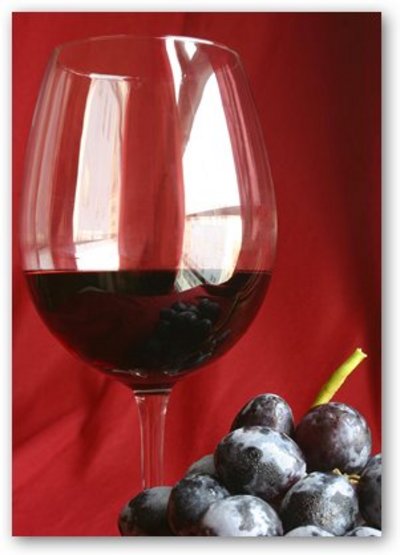 Parte alla grande l’annata 2006 del Brunello di Caparzo