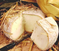 Ovini: accordo per il prezzo del latte