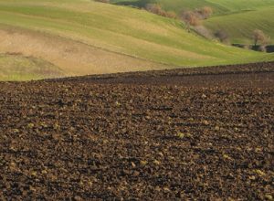 campagna_lucana_1.jpg