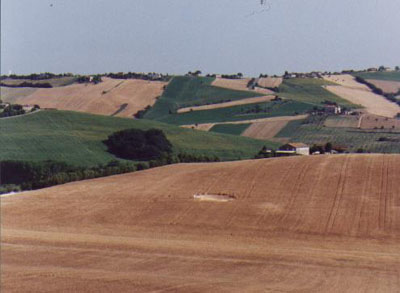La PAC che verrà. Convegno Crea: sarà un’agricoltura più resiliente, più sostenibile, più smart