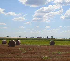 campi_pianura_padana.jpg