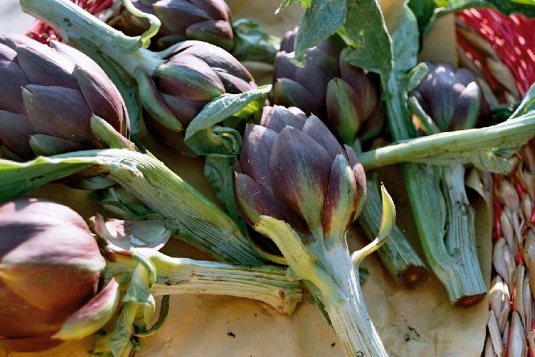 Ortofrutta. In Toscana a Organizzazioni produttori 2 milioni di contributi Ue per programmi operativi