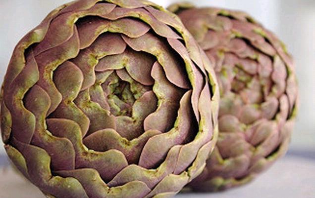 Carciofo spinoso, al via l’iter per la Dop