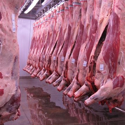 Stoccaggio carni. Mipaaf: via libera alle richieste delle aziende. Bellanova: misura attivata con urgenza