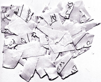 Filiera della carta e trasformazione in editoria