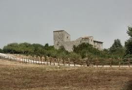 Vino e arte da degustare nella Cantina Conti Faina