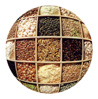 Dati Ismea, cereali in crescita nel 2008