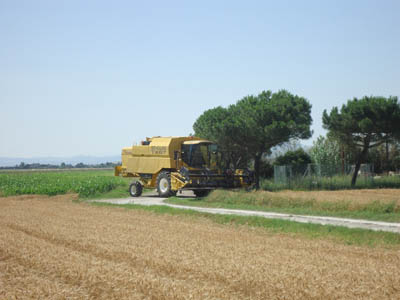 Un cambio di rotta per l’agricoltura. Aziende agricole non considerate