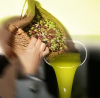Sottoscritto contratto filiera Unaprol su olio extravergine di oliva
