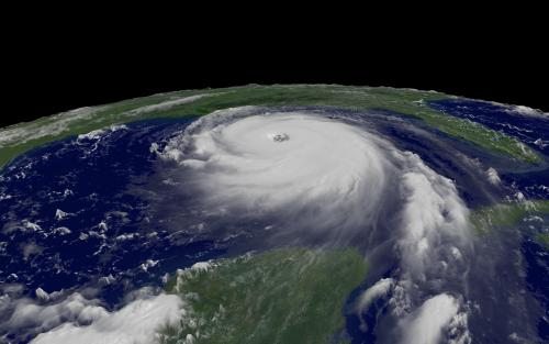 Webinar dei Georgofili su “Soluzioni innovative per l’impiego delle leguminose in uno scenario di cambiamenti climatici”