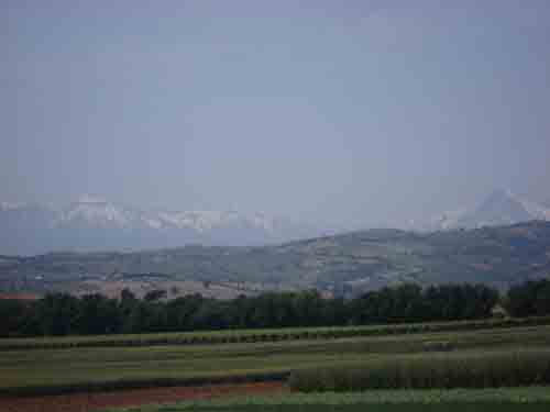 Cambiamenti climatici: gli agricoltori chiedono risorse