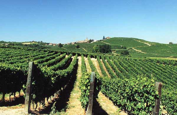 Per Galan è tutto a posto per i vini di Montepulciano